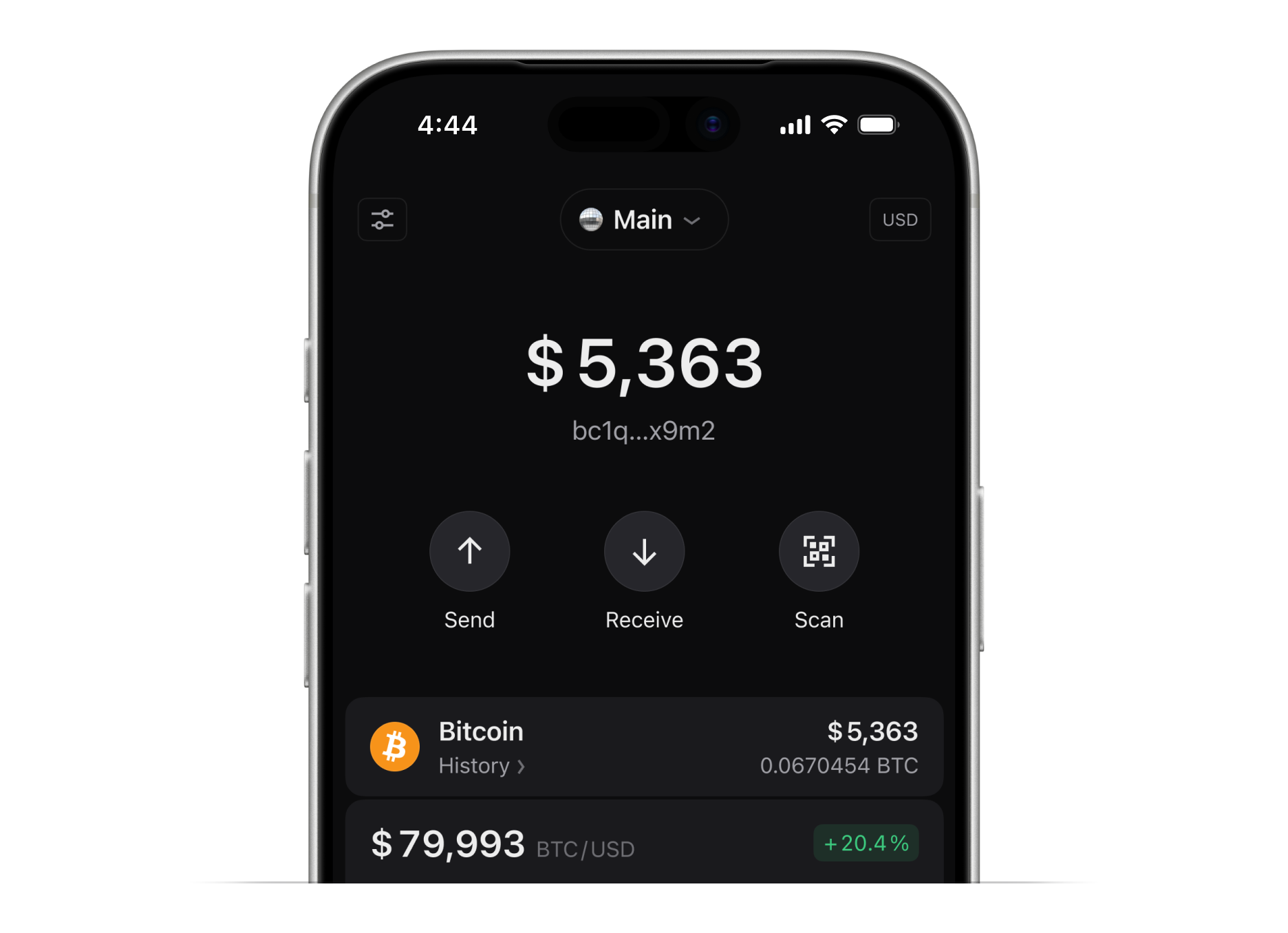 Safely home screen with the wallet balance and Send, Receive and Scan buttons